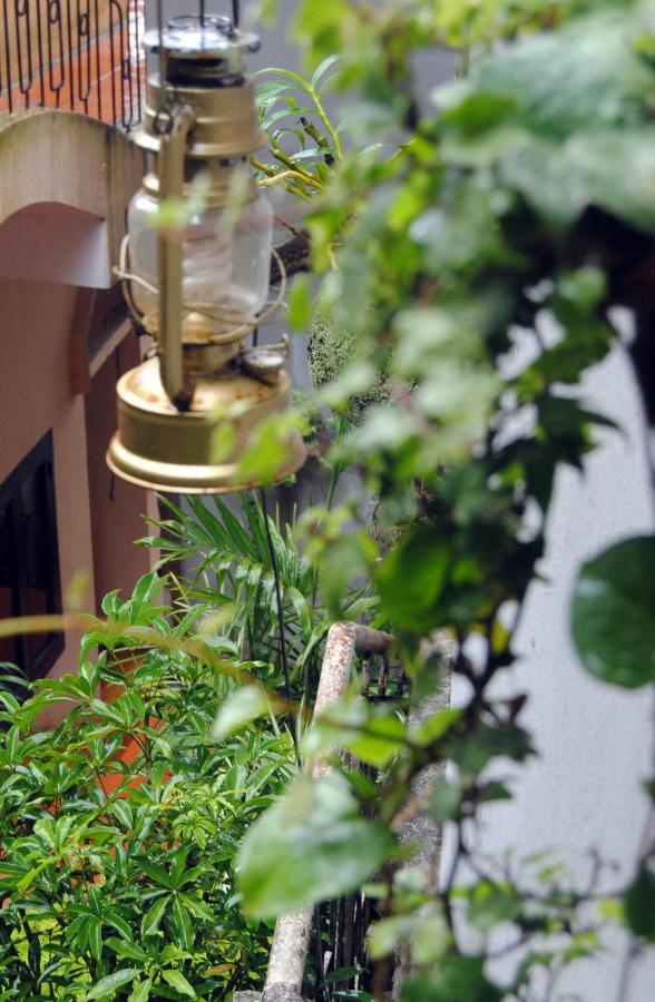 Cat Cat Hotel Sapa Zewnętrze zdjęcie
